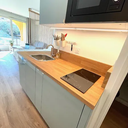 Modern Pool Monaco Area Feriehus Beausoleil